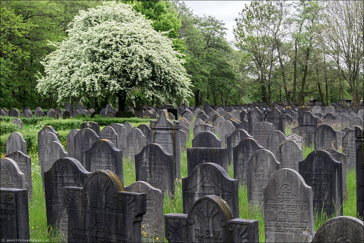 westerborkpad, joodse begraafplaats diemen