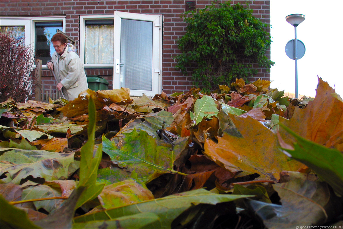 herfst bladerenberg 