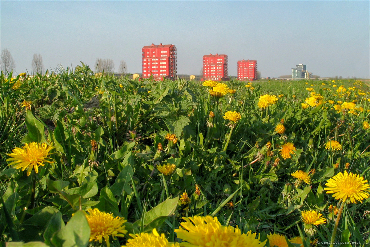 rode donders almere buiten regenboogbuurt