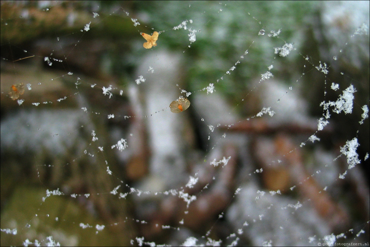 herfst sneeuw