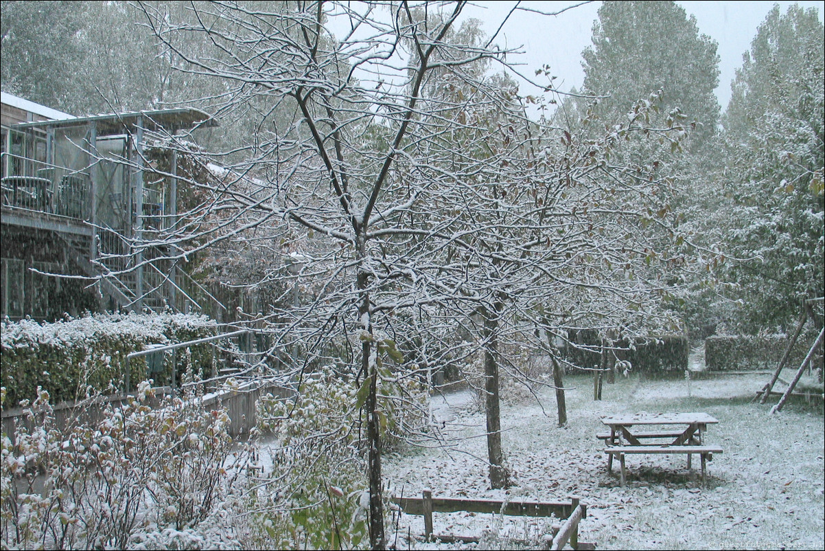 herfst sneeuw