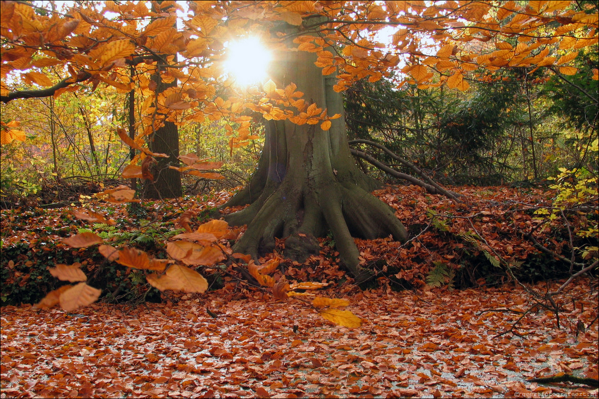 herfst backershagen