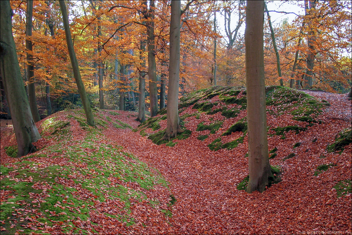 herfst backershagen