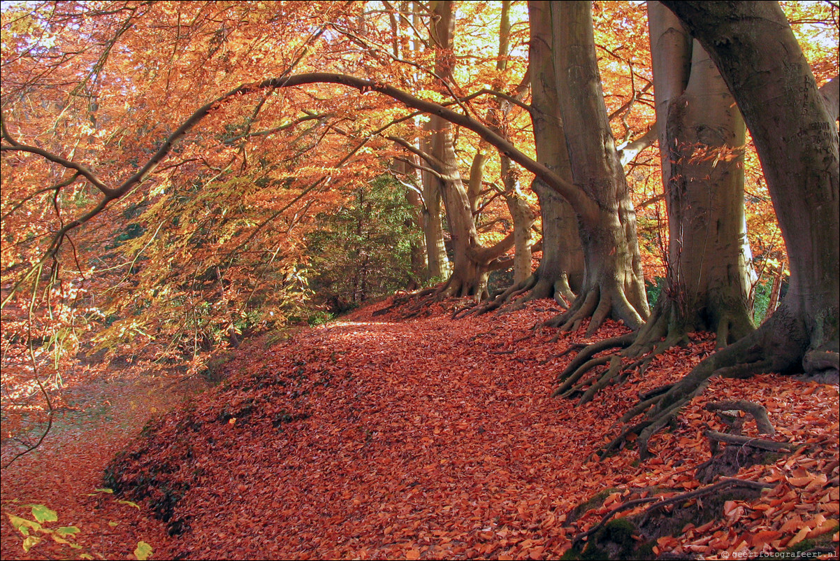 herfst backershagen