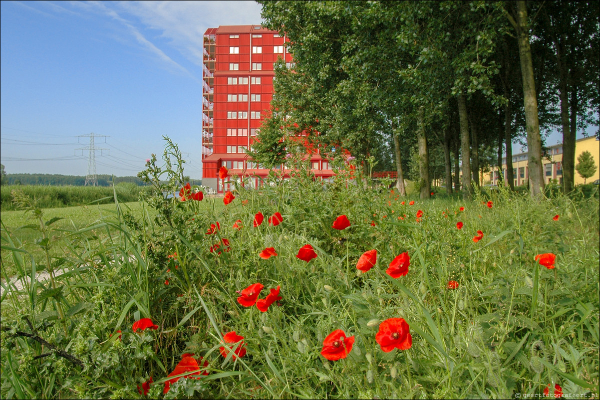 Almere Buiten Regenboogbuurt Rode Donders