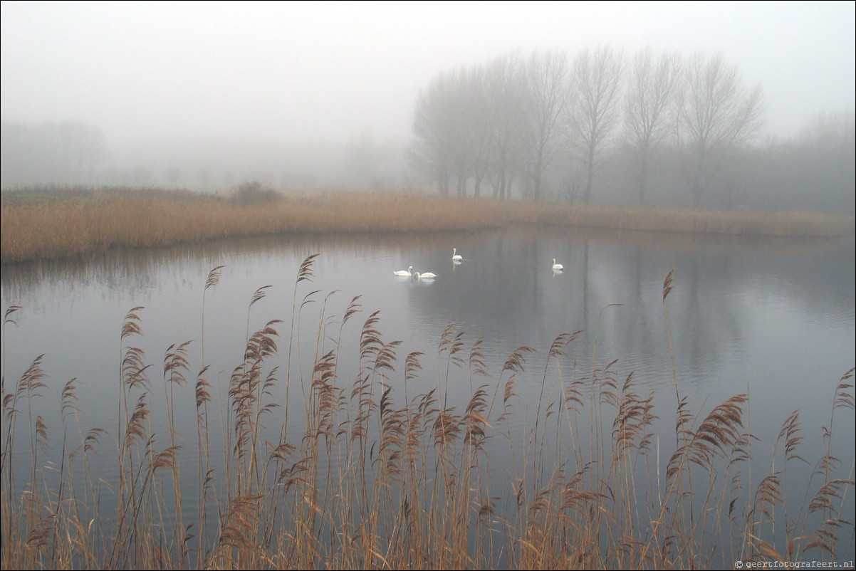 Almere Kromslootpark