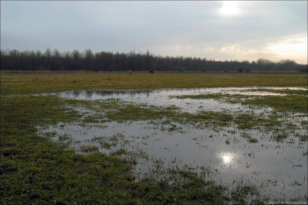 Almere Kromslootpark