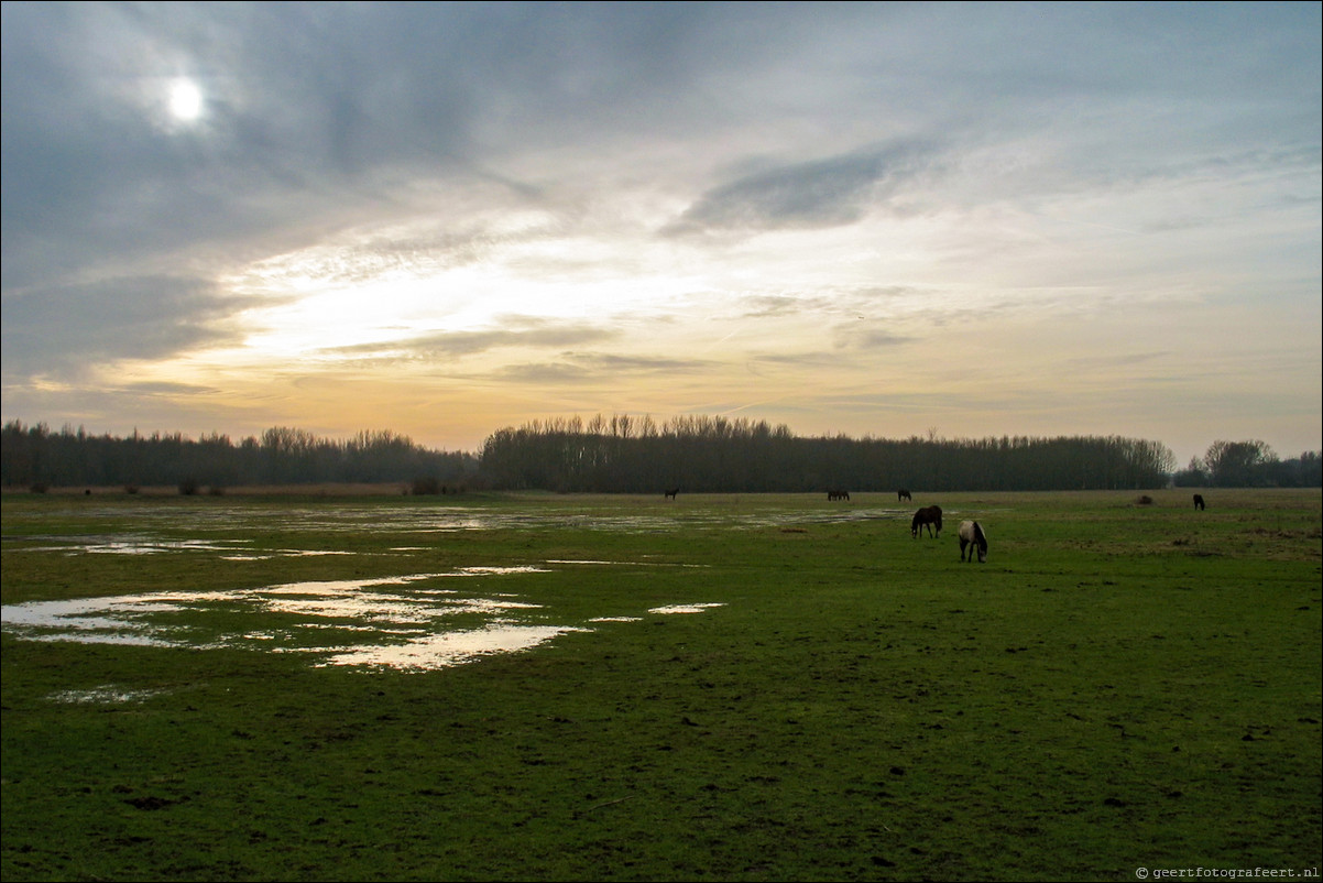 Almere Kromslootpark