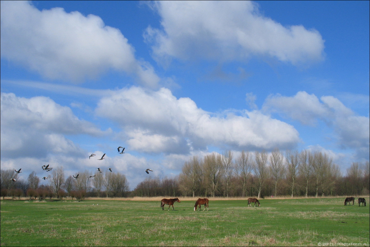 Almere Kromslootpark