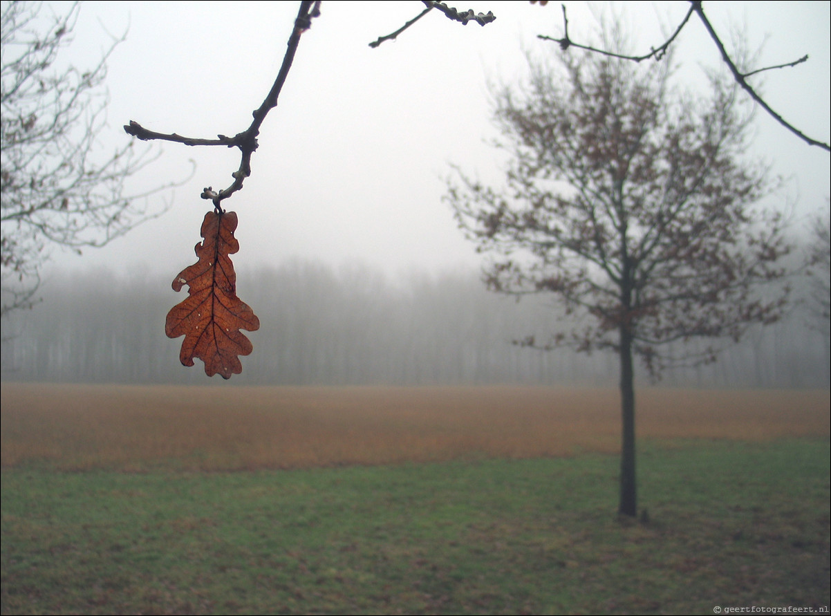 herfst