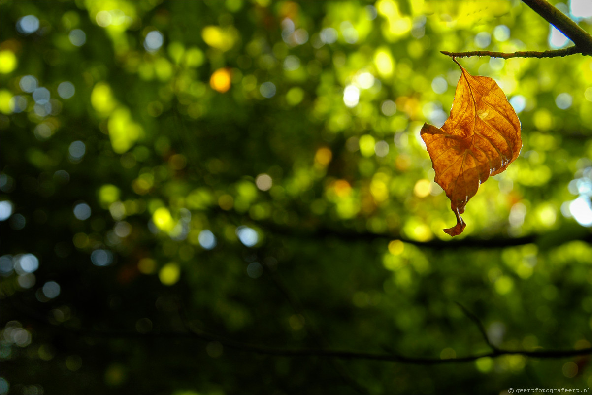 herfst