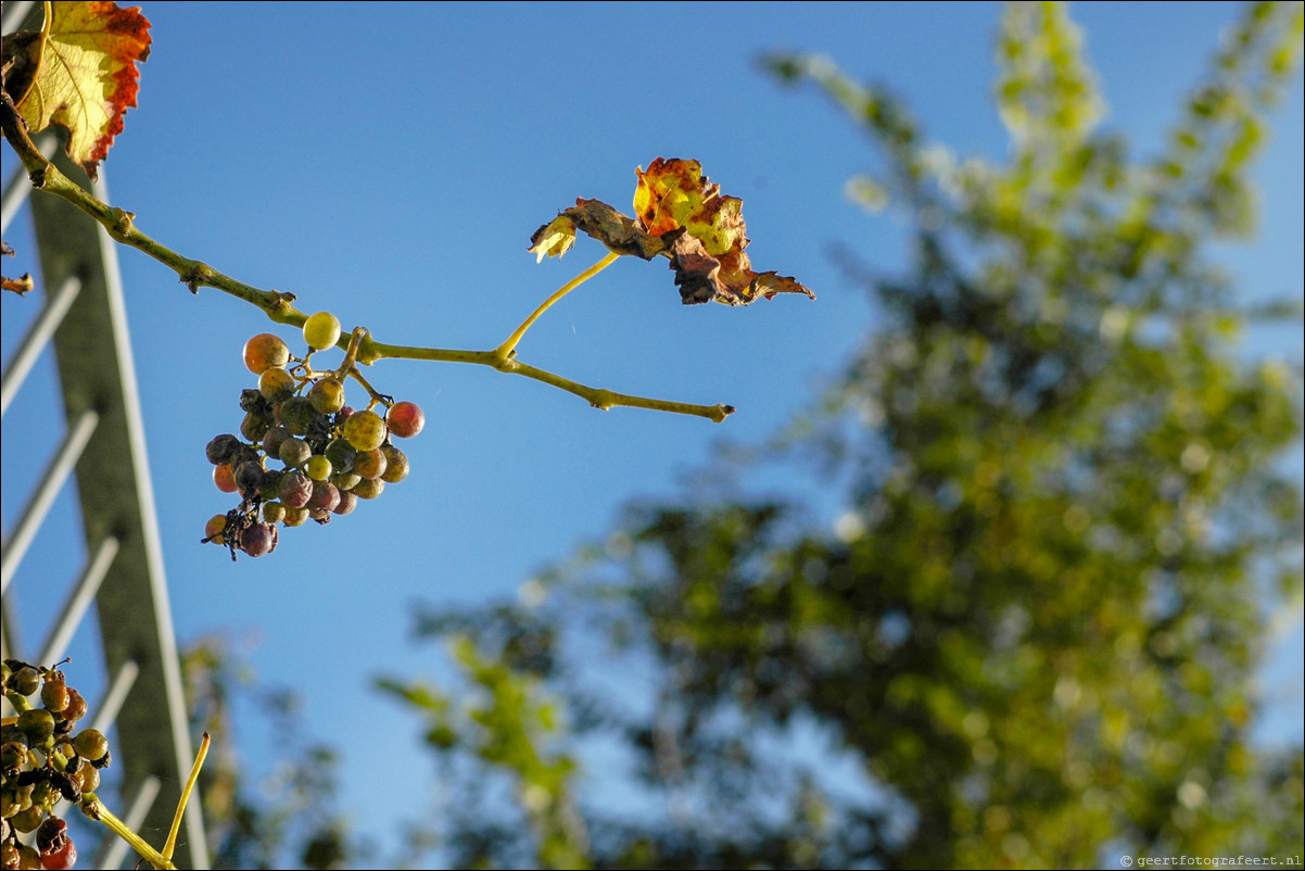 herfst