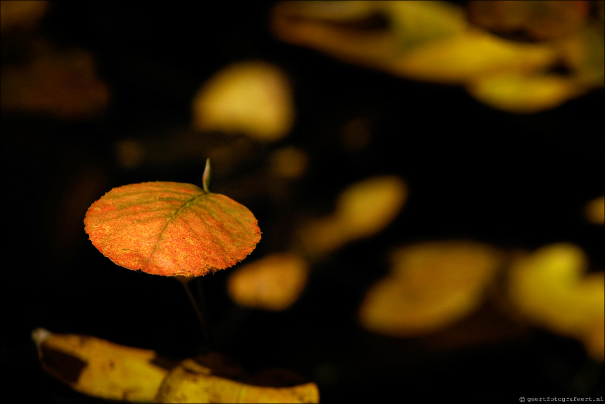 herfst