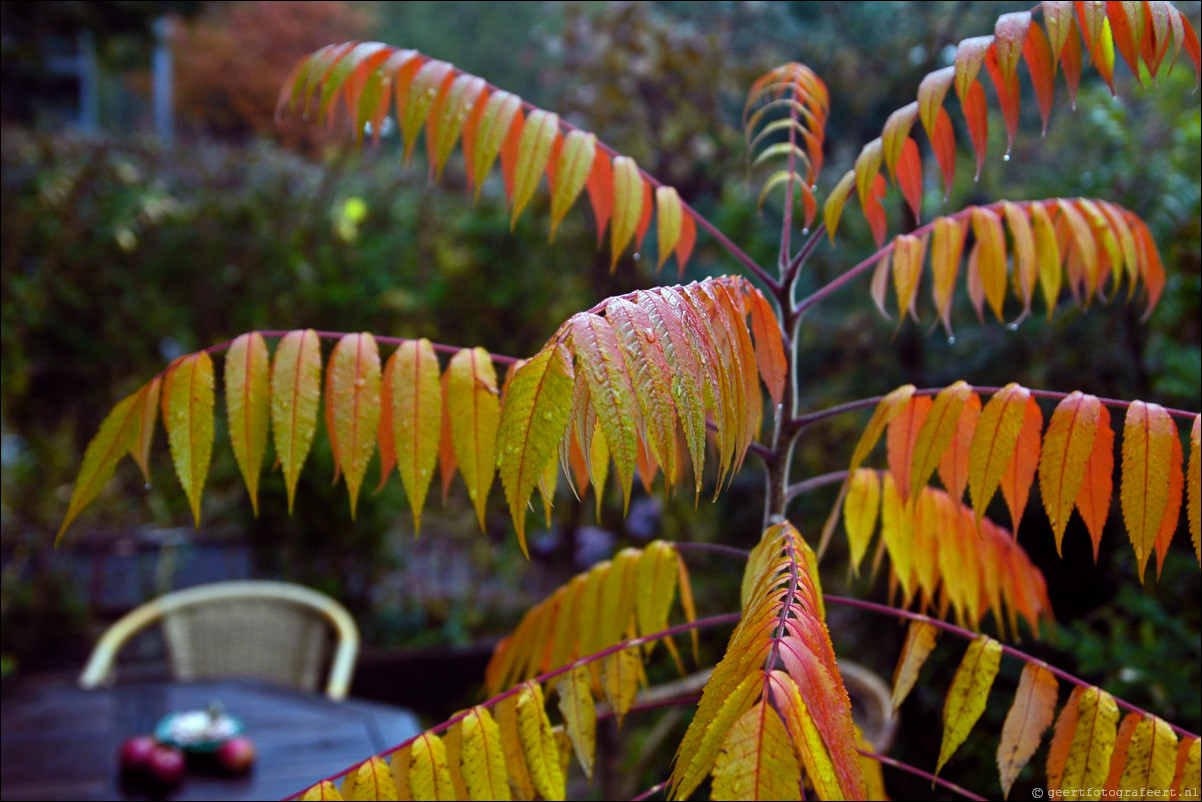 herfst