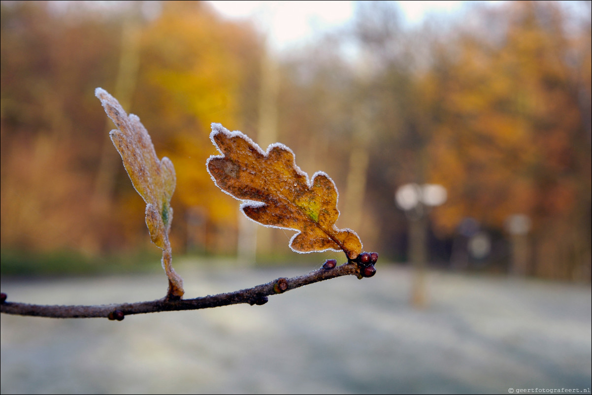 herfst