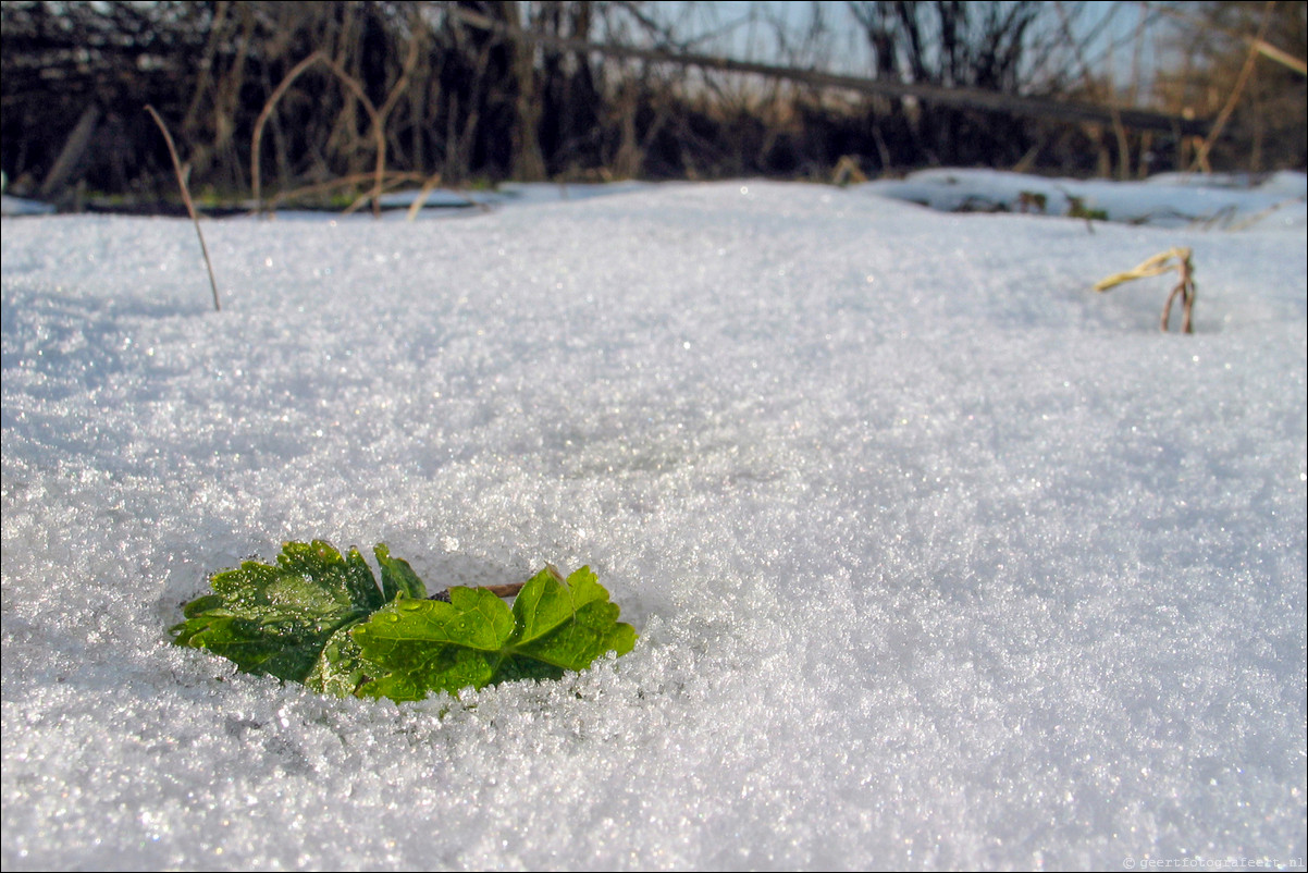 winter