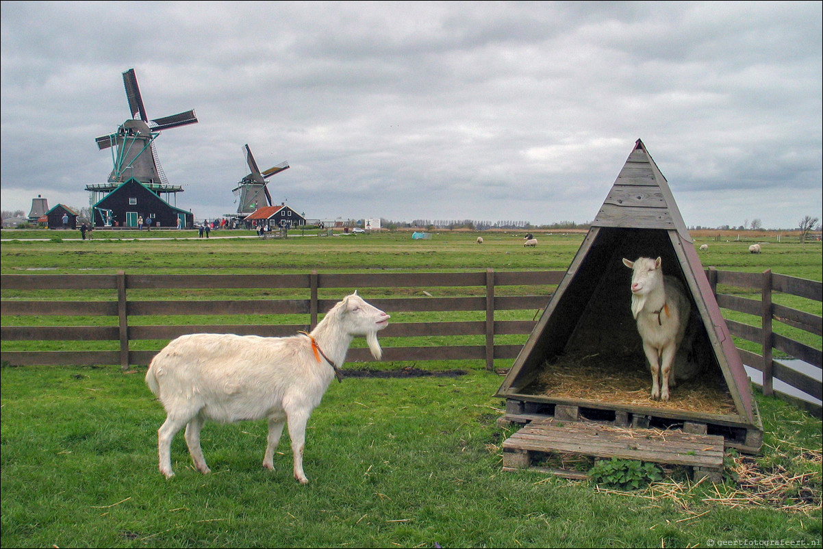 Zaanse Schans