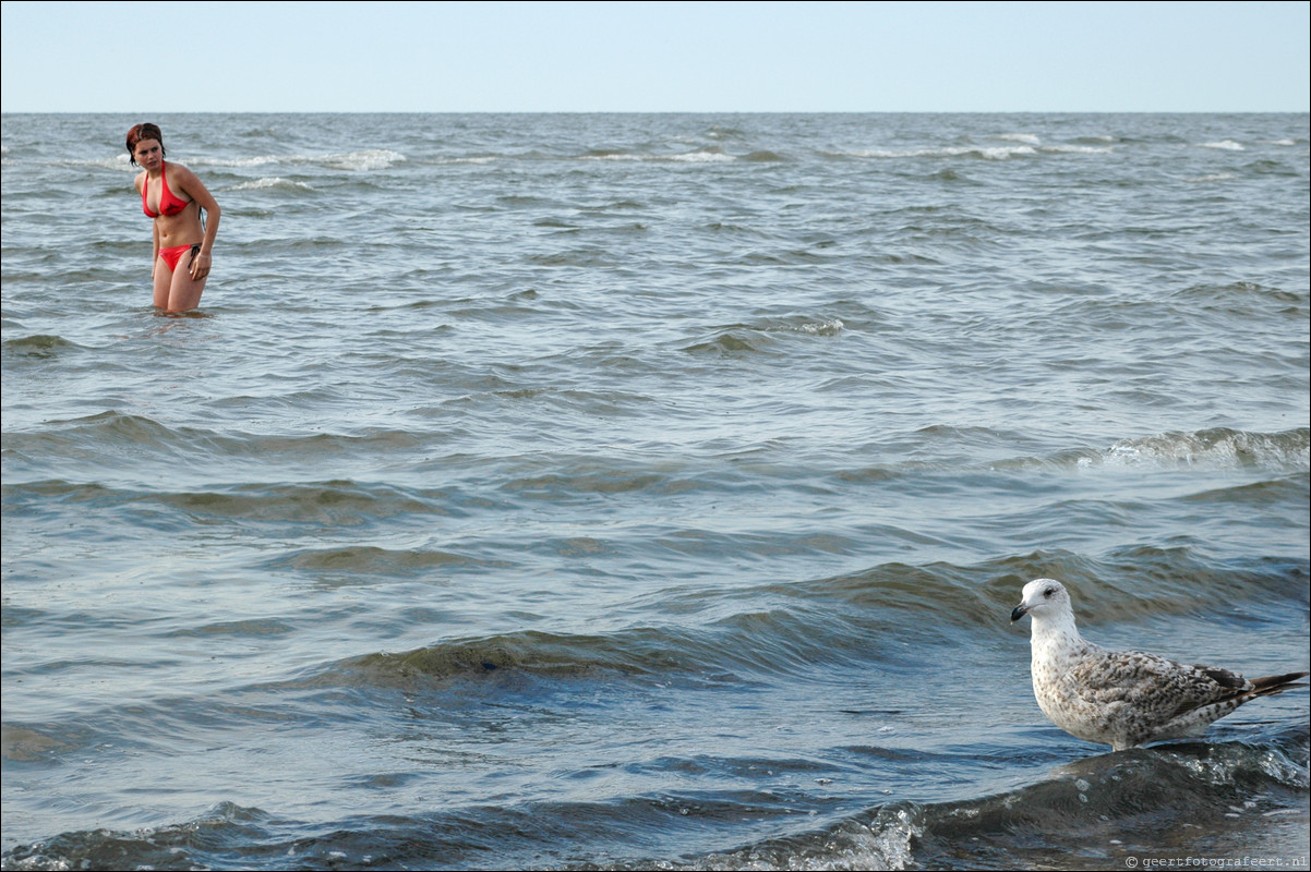 Strand Noordwijk