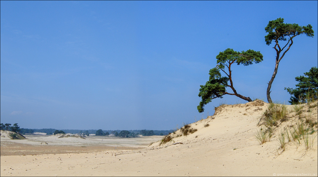 Kootwijker Zand