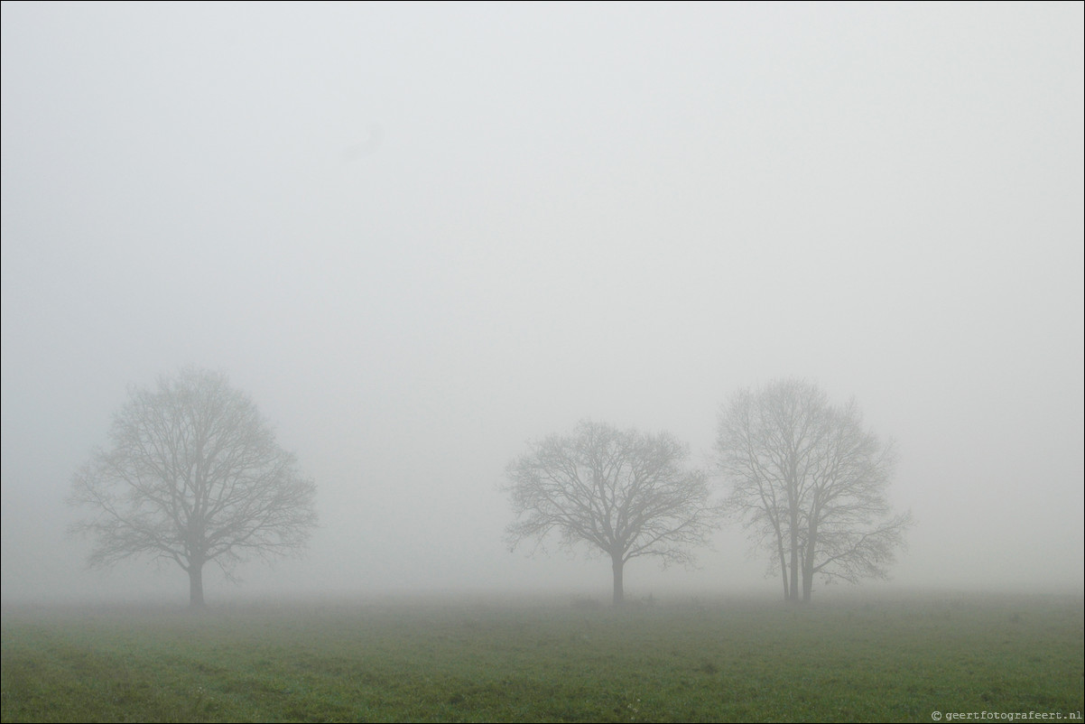 weesp Keverdijk