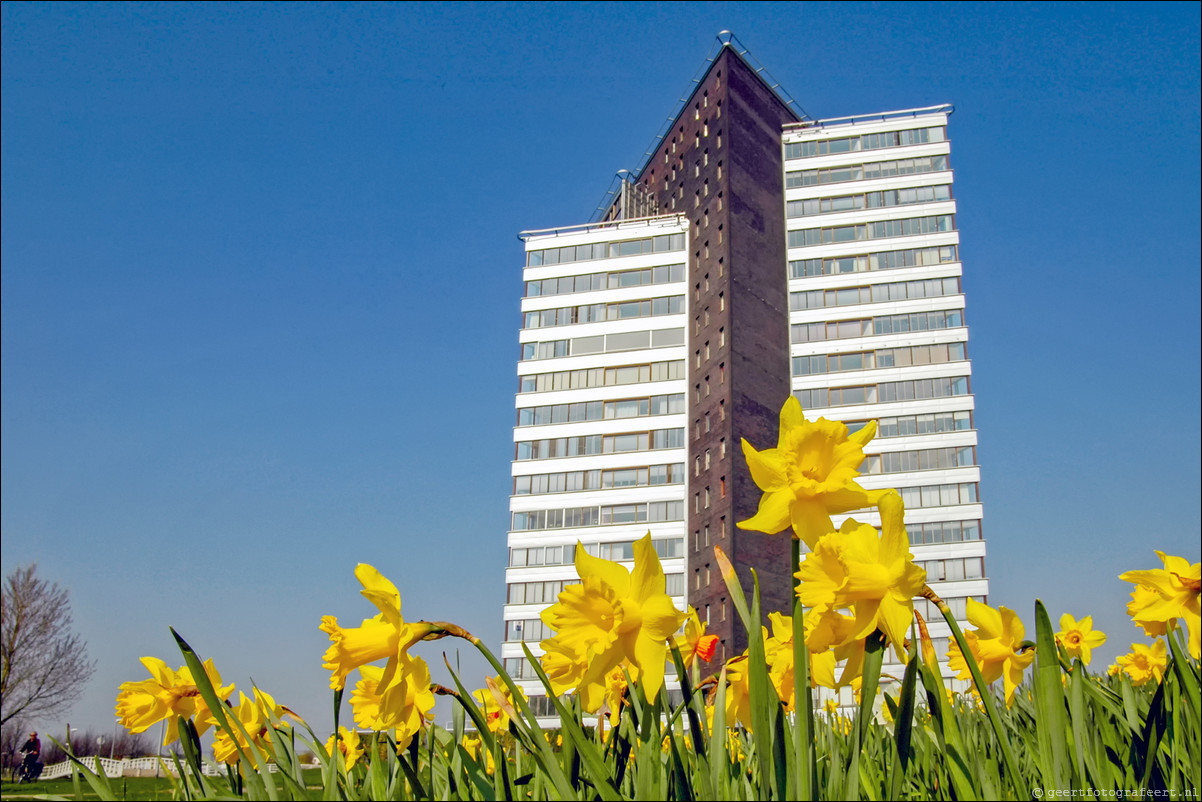 Almere Filmwijk Tourmaline