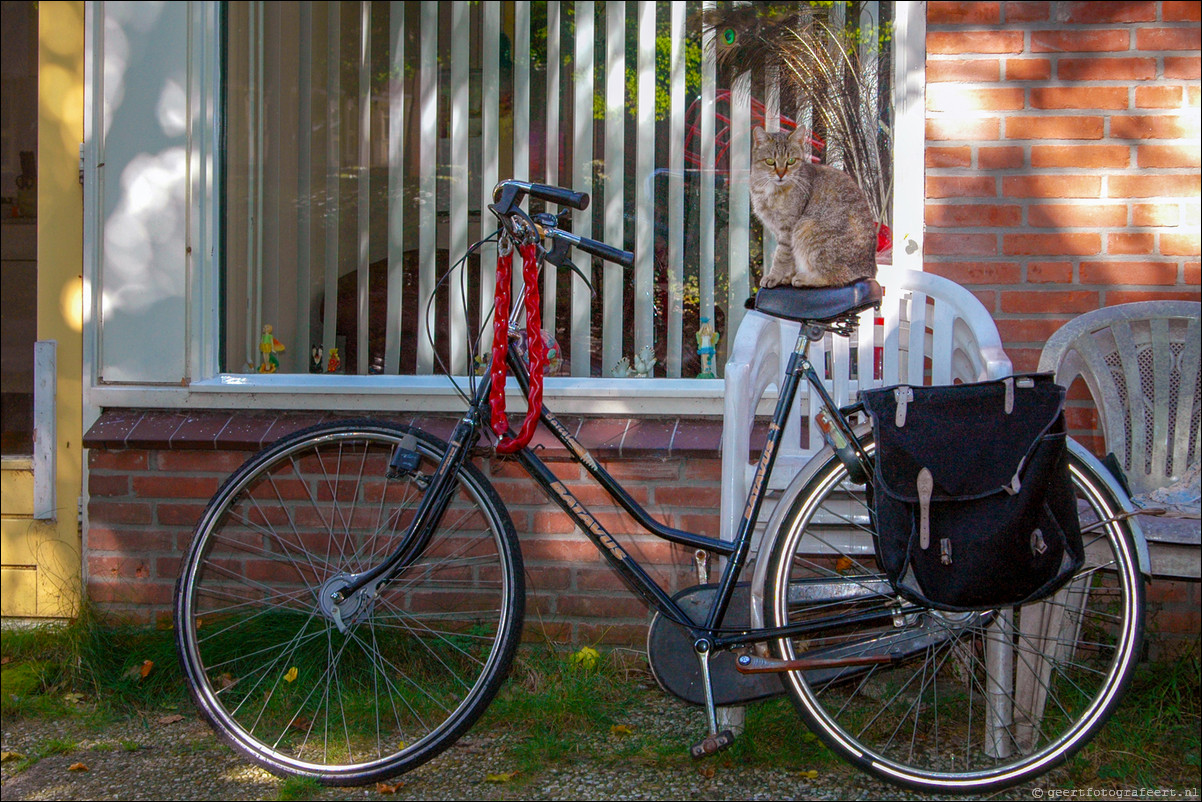 Almere straatfotografie