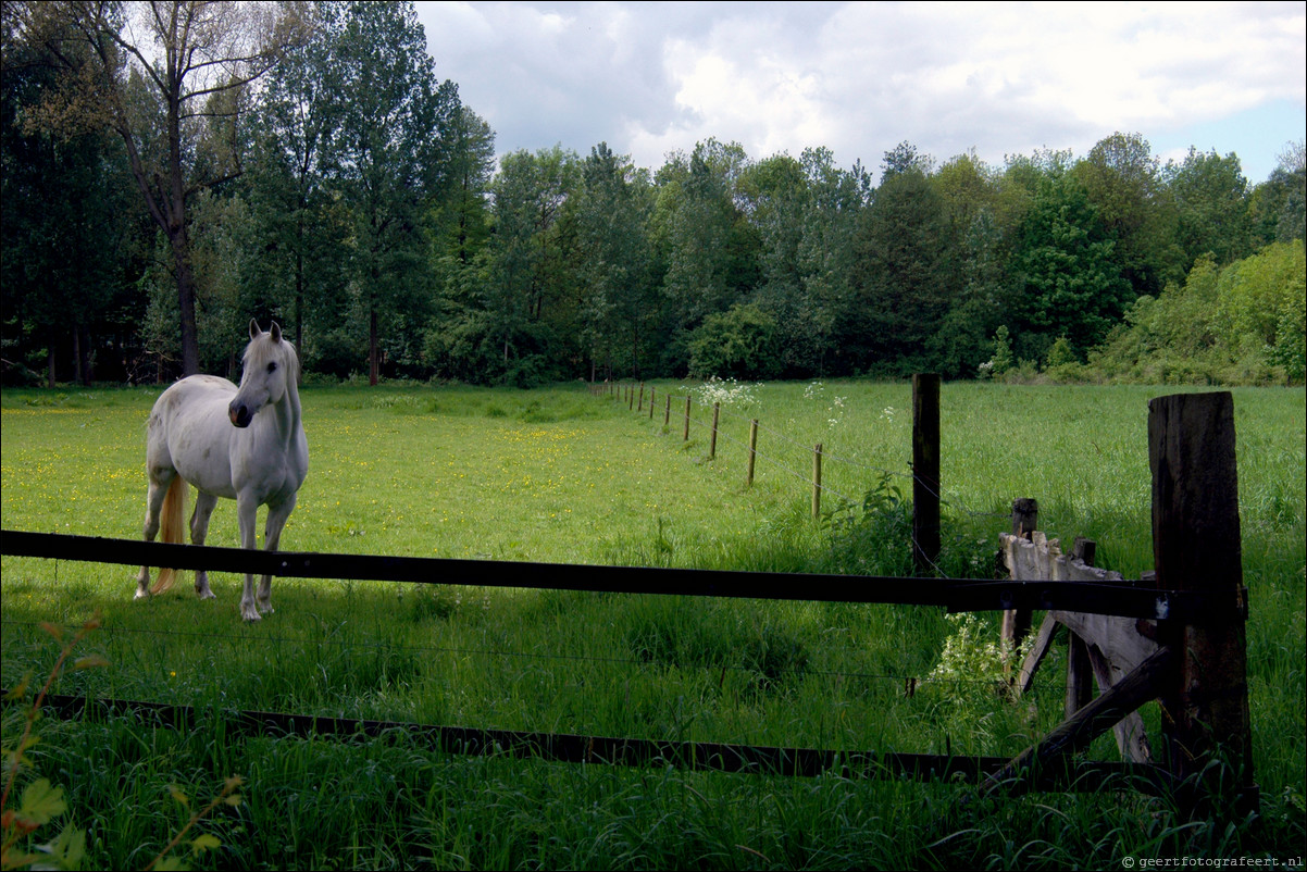 Vakantie Swalmen Limburg