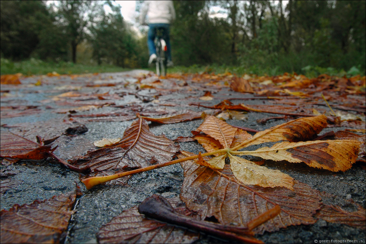 herfst