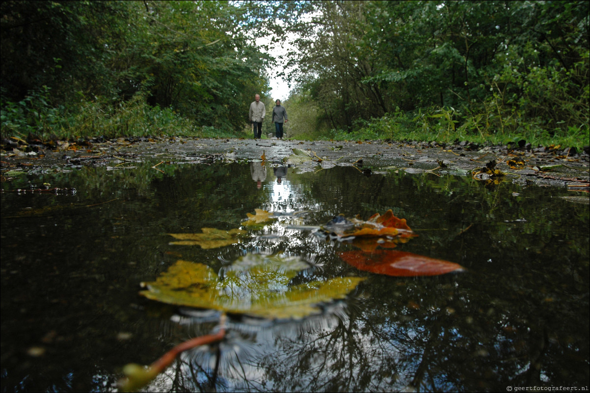 herfst