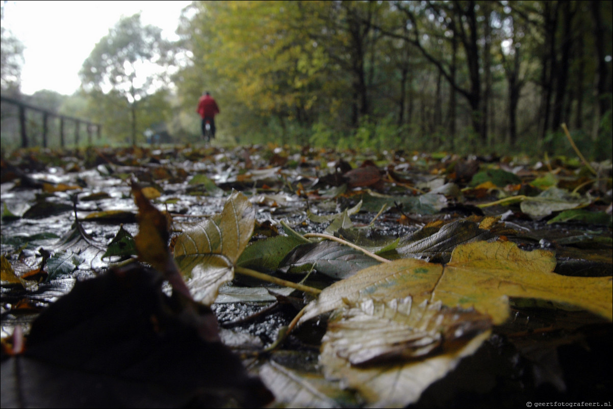 herfst