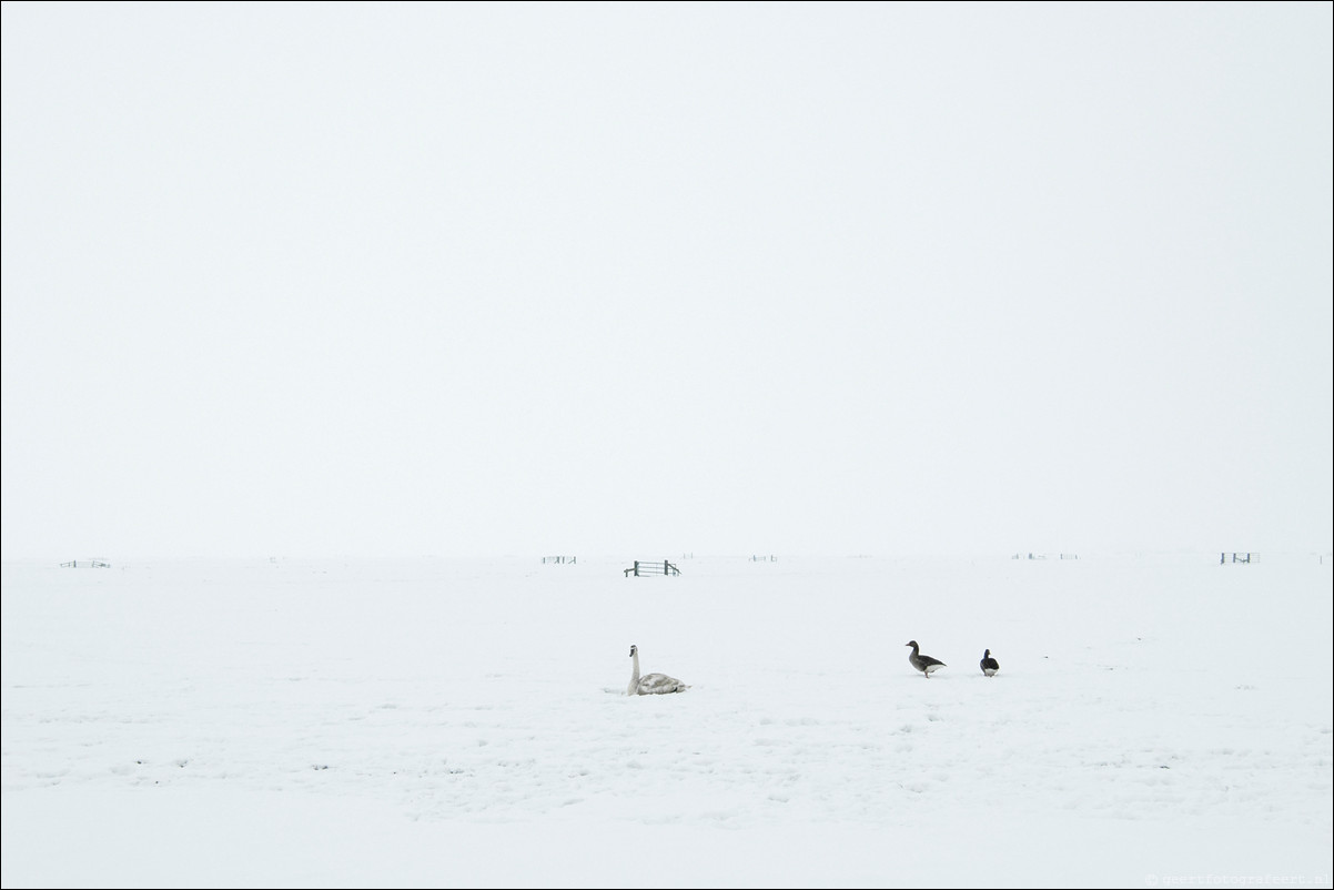 winter eempolder