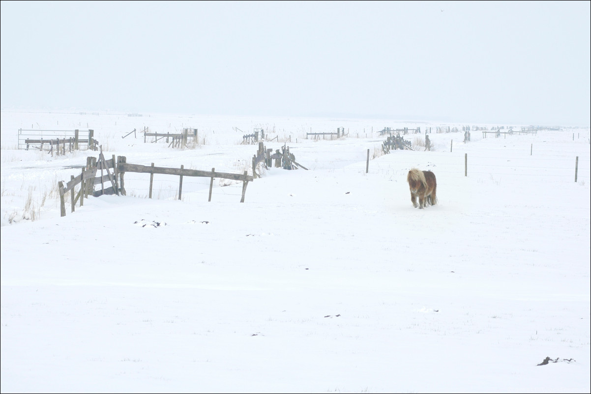 winter eempolder