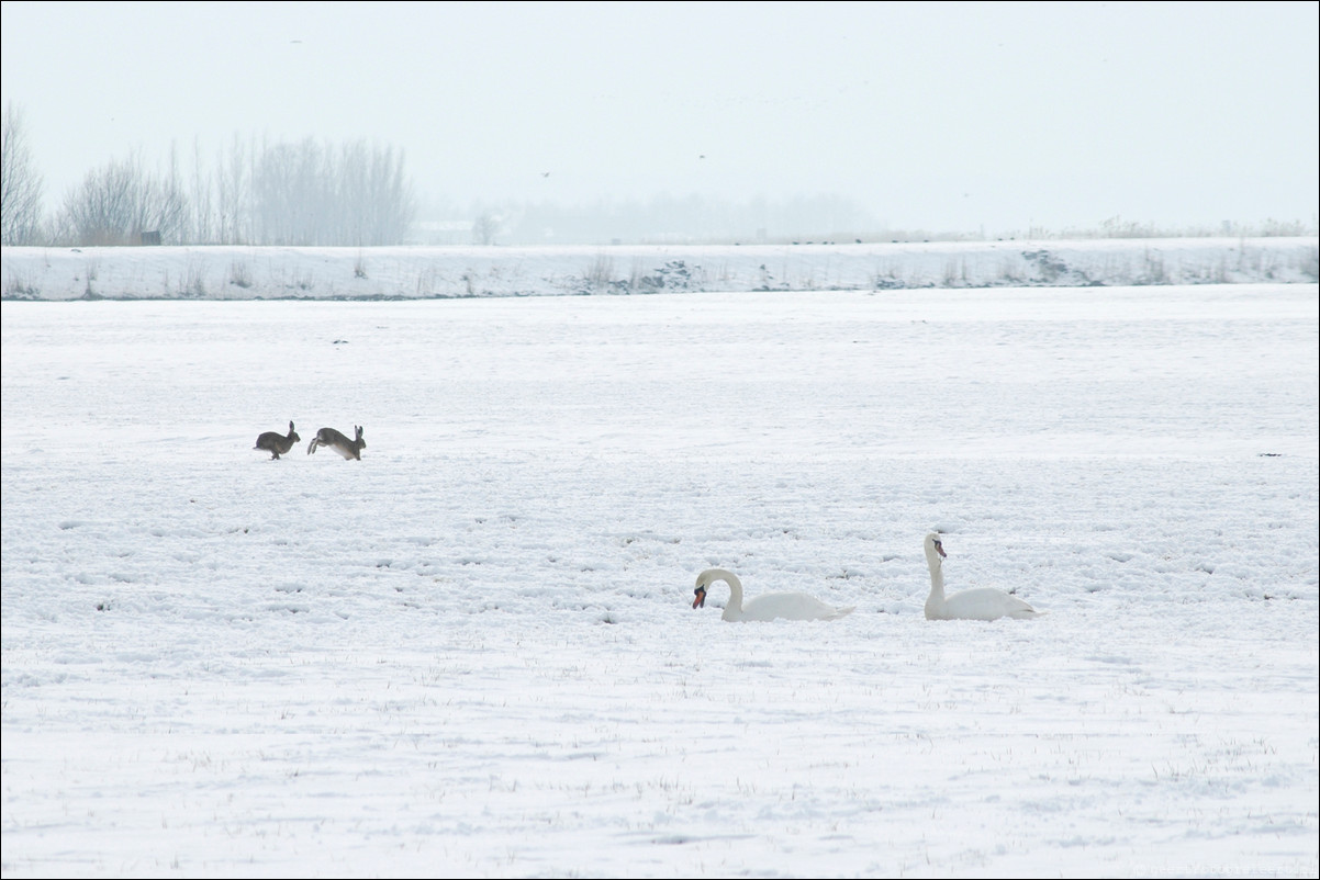 winter eempolder