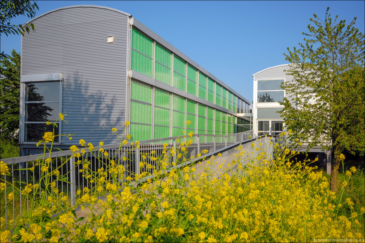 Almere Centrum Paviljoens