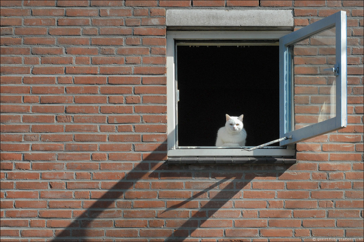 De straten van Almere