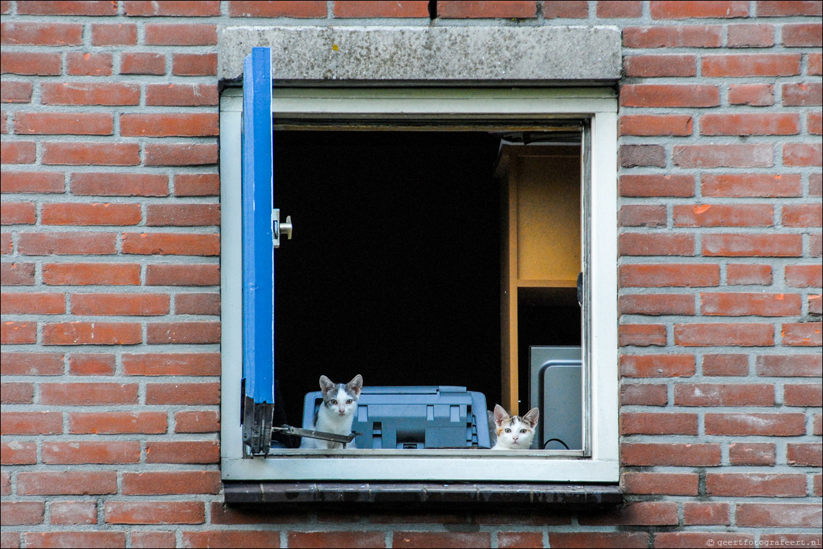 De straten van Almere