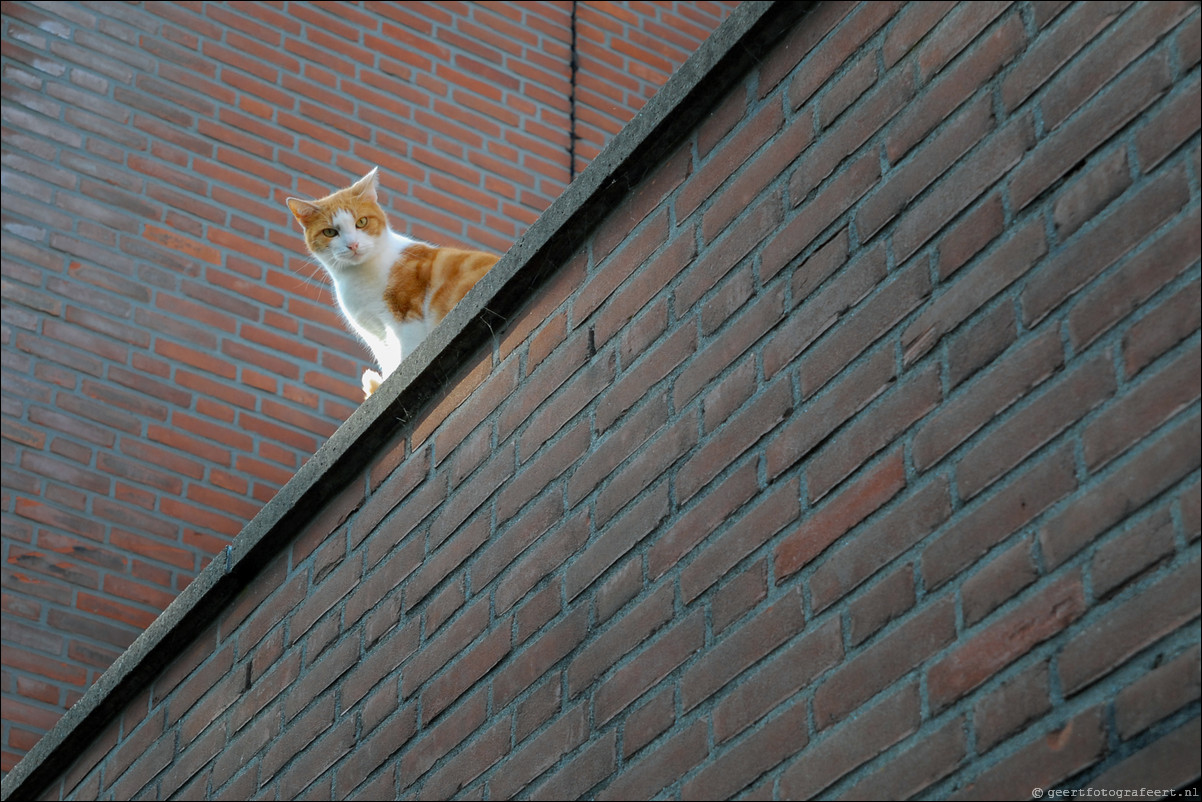 De straten van Almere