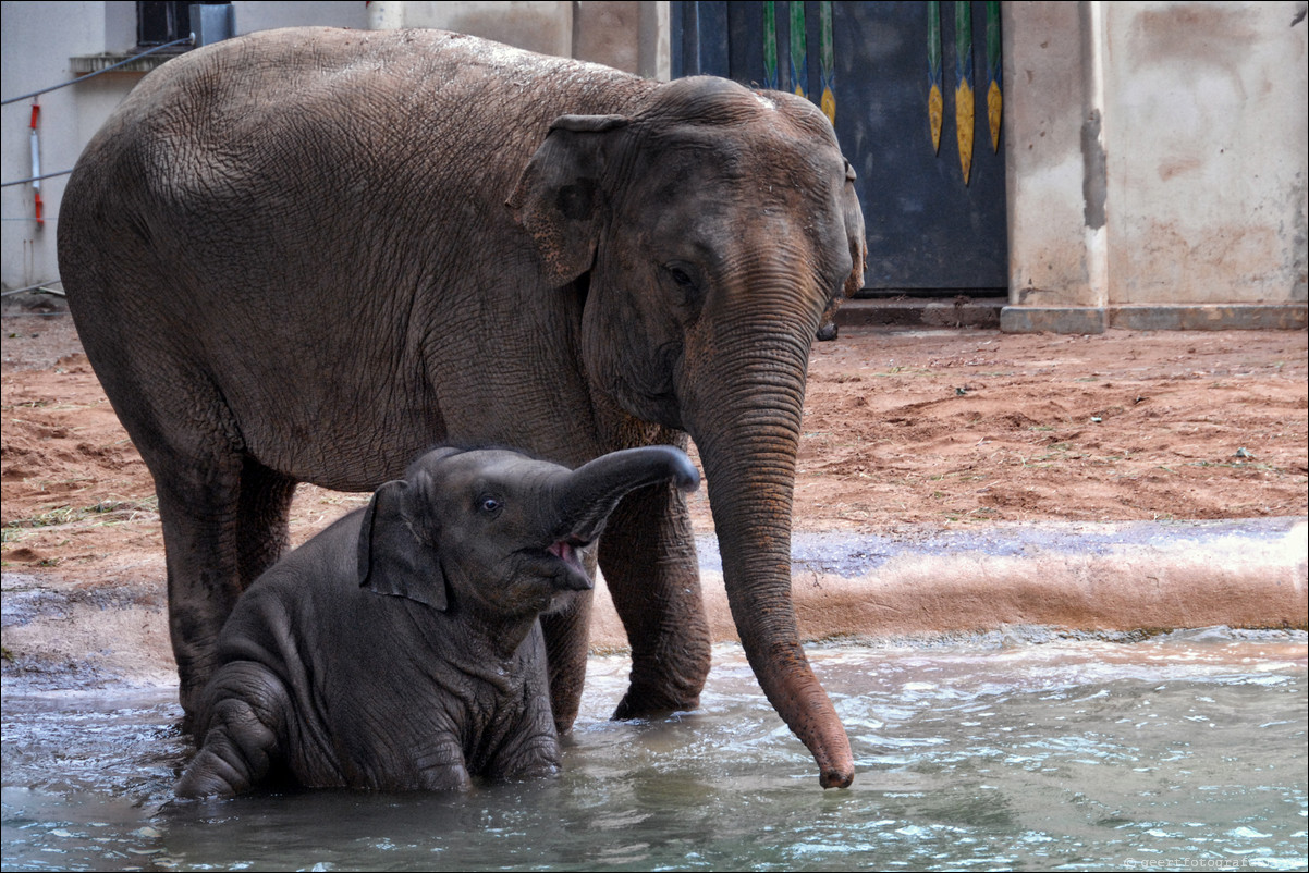 Antwerpen Zoo