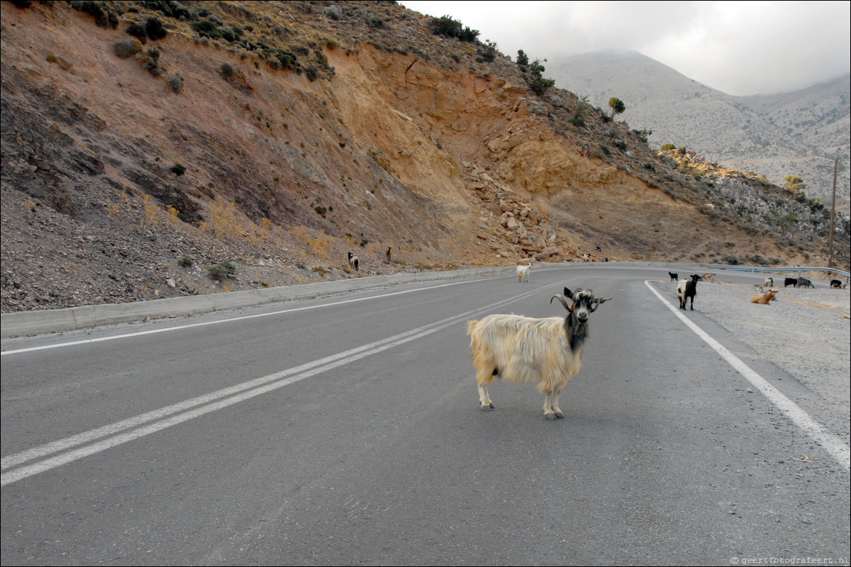 Kreta Lassithi Plateau