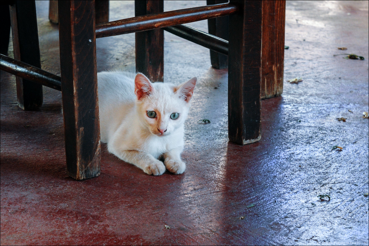 Kreta Katsidoni