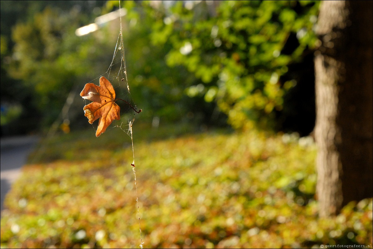 herfst