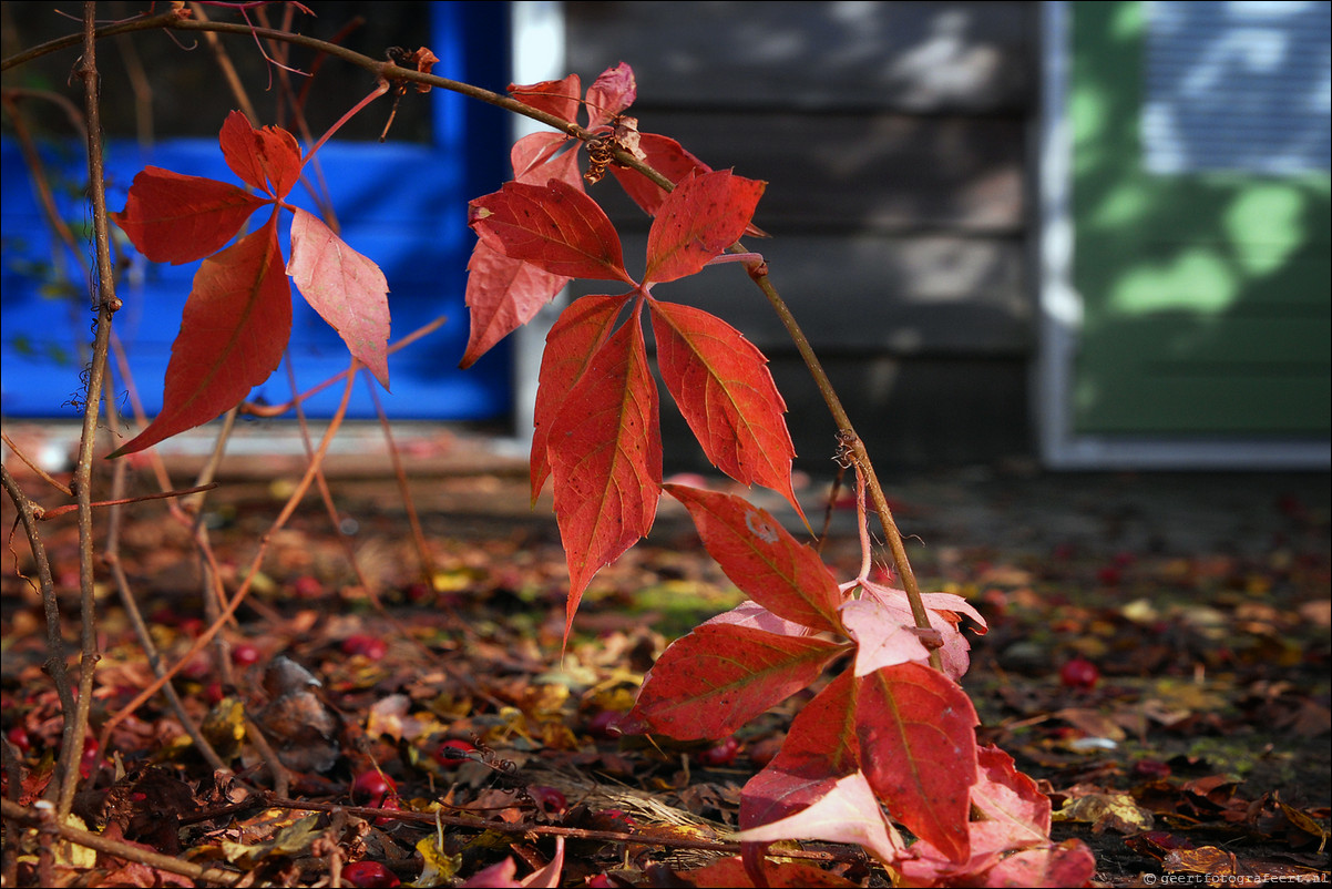 herfst