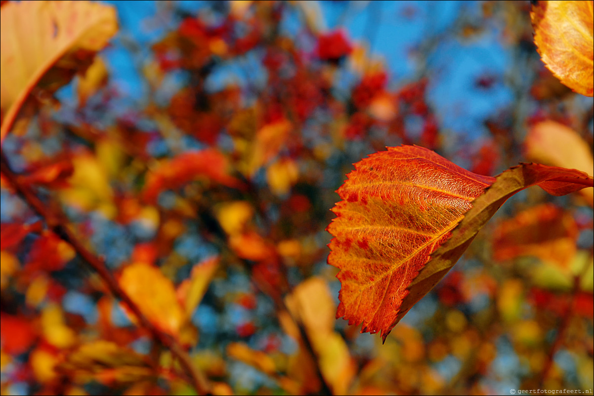 herfst