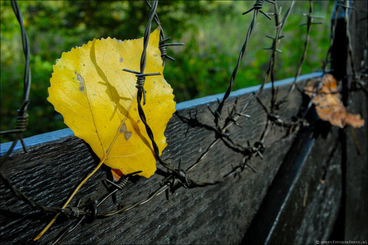 herfst