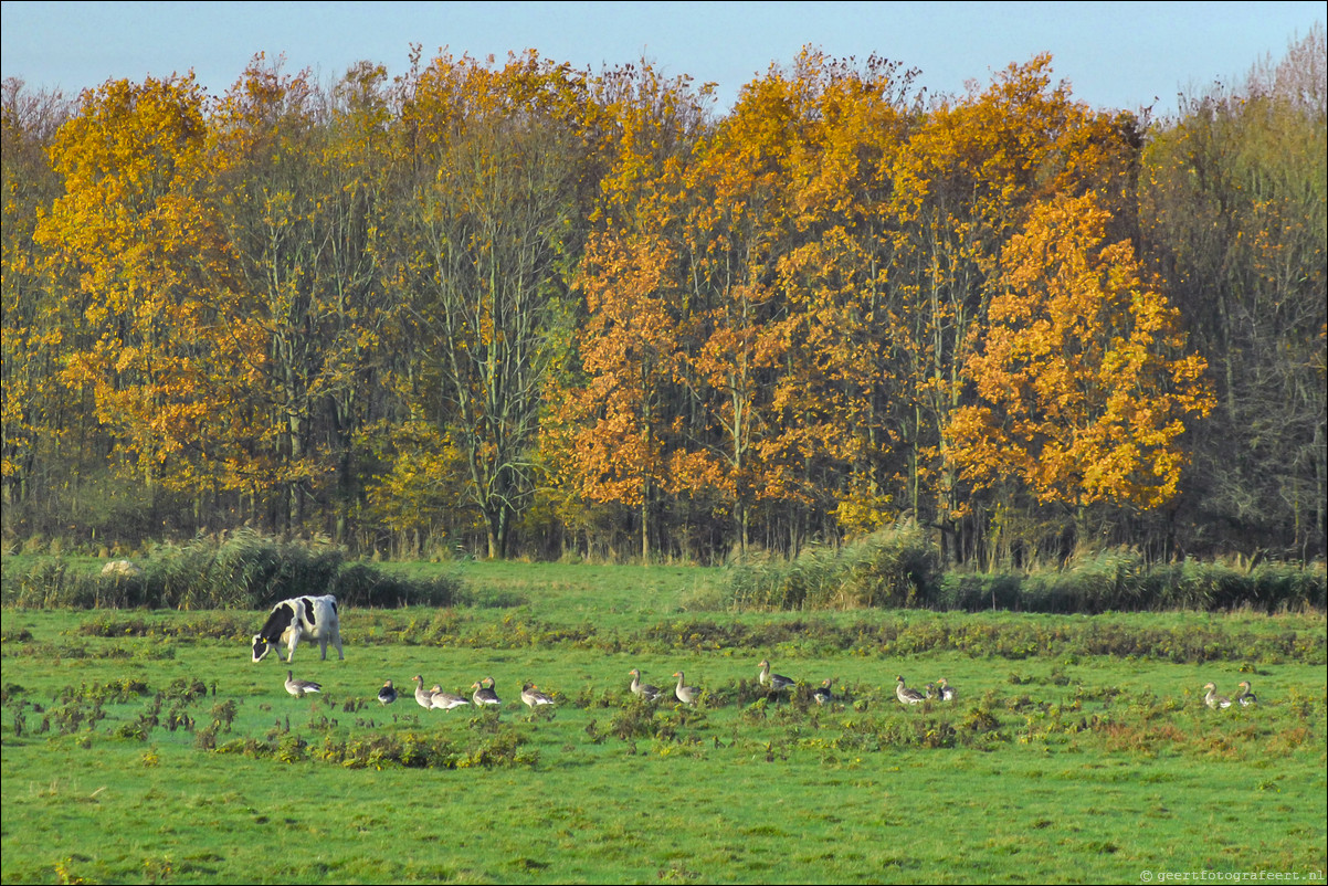 herfst