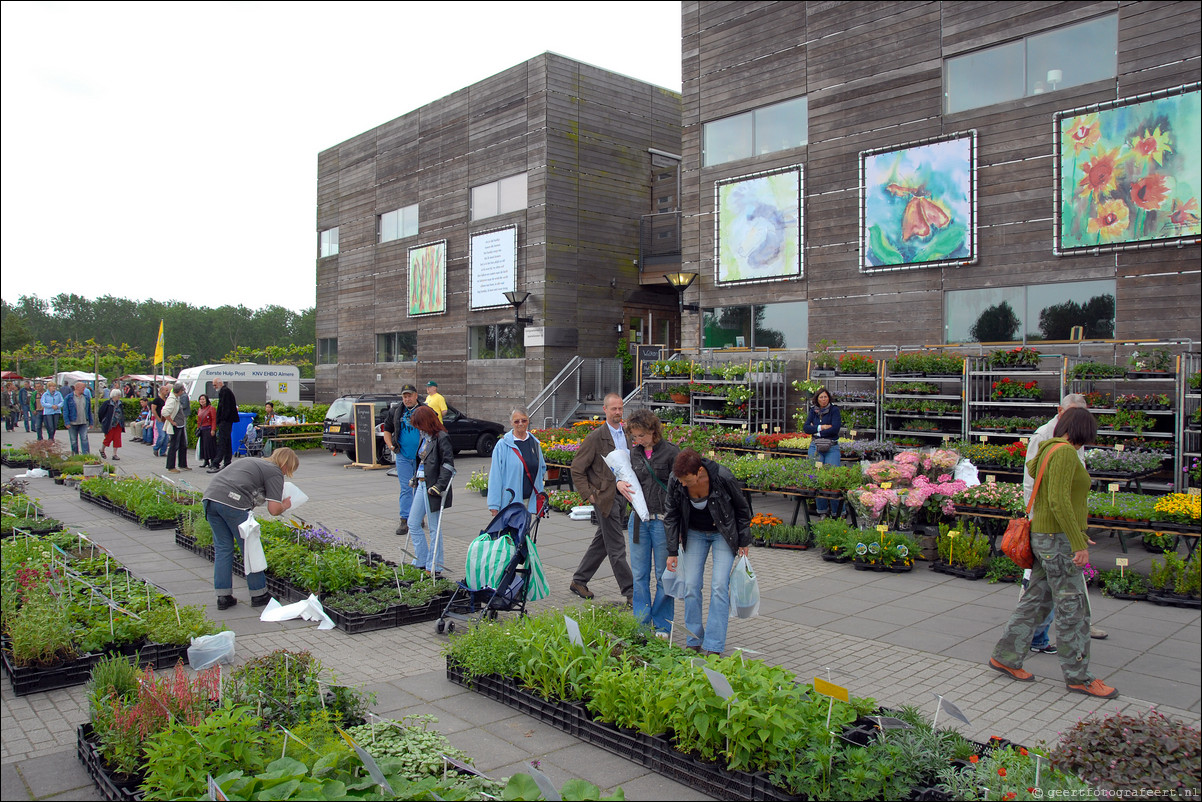 Lentefair Groei en Bloei