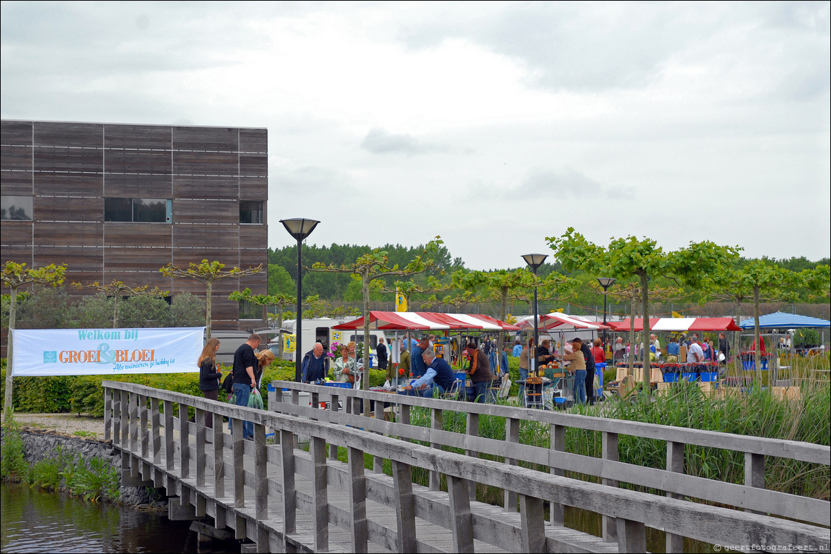 Lentefair Groei en Bloei