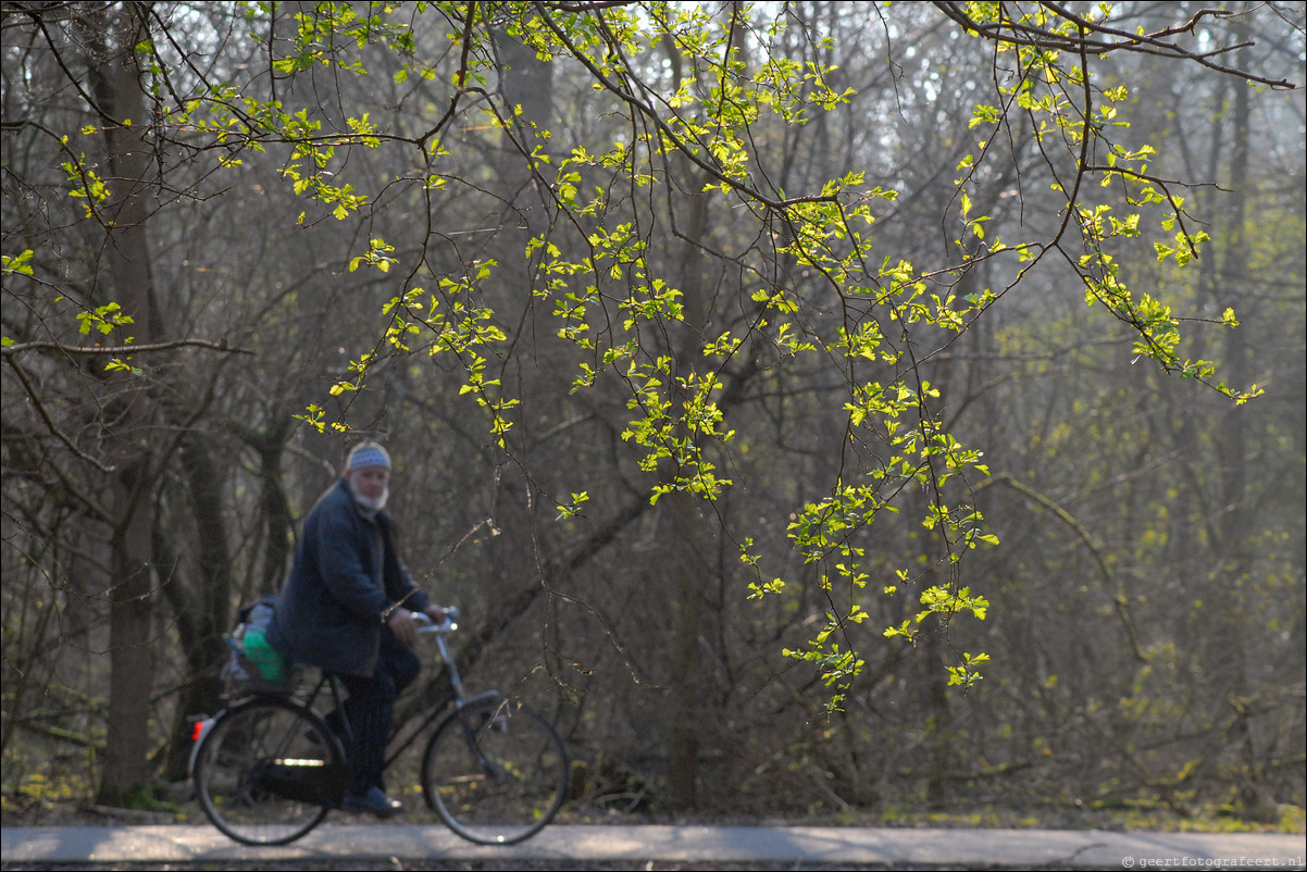 Lente blad fietser