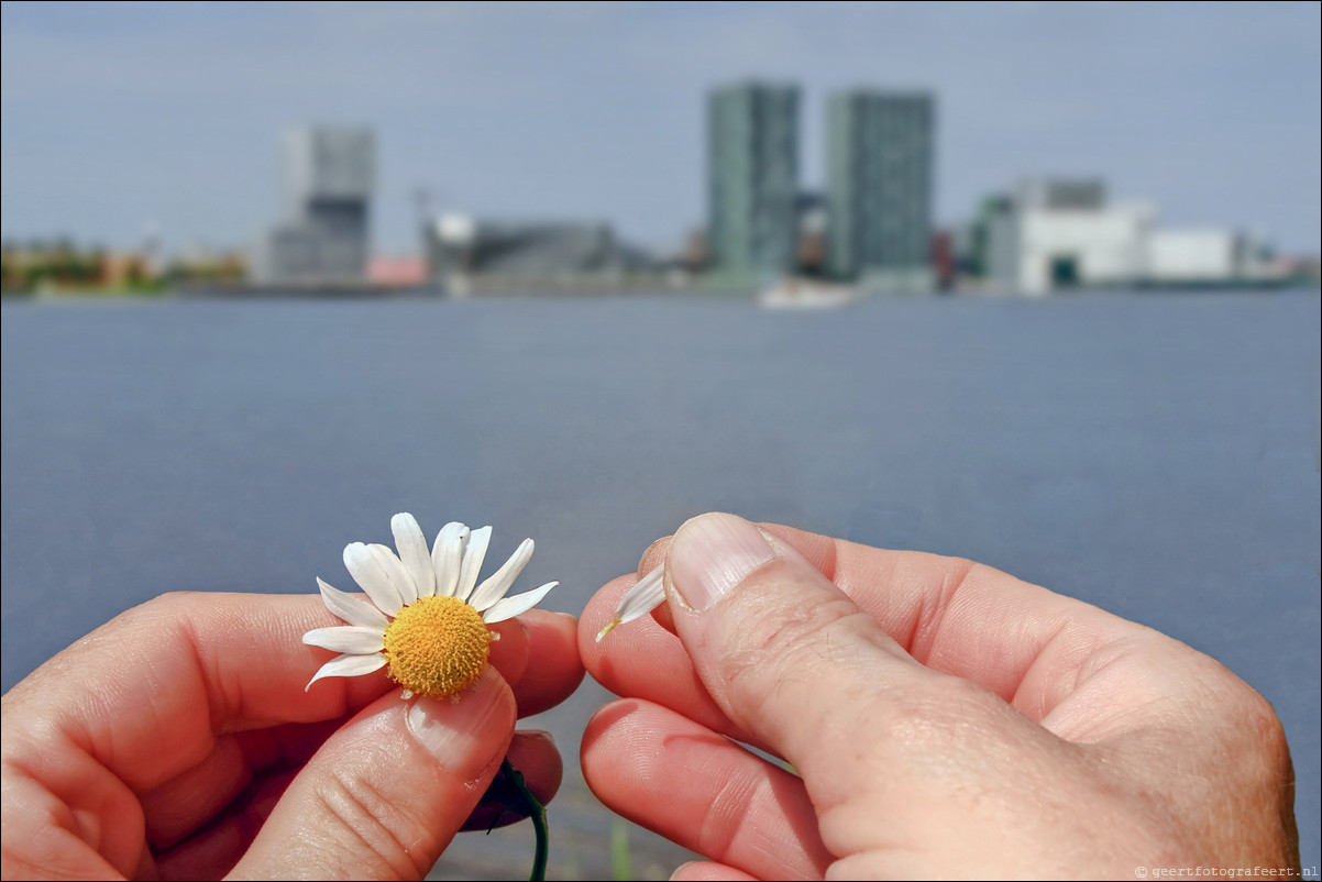 Almere skyline