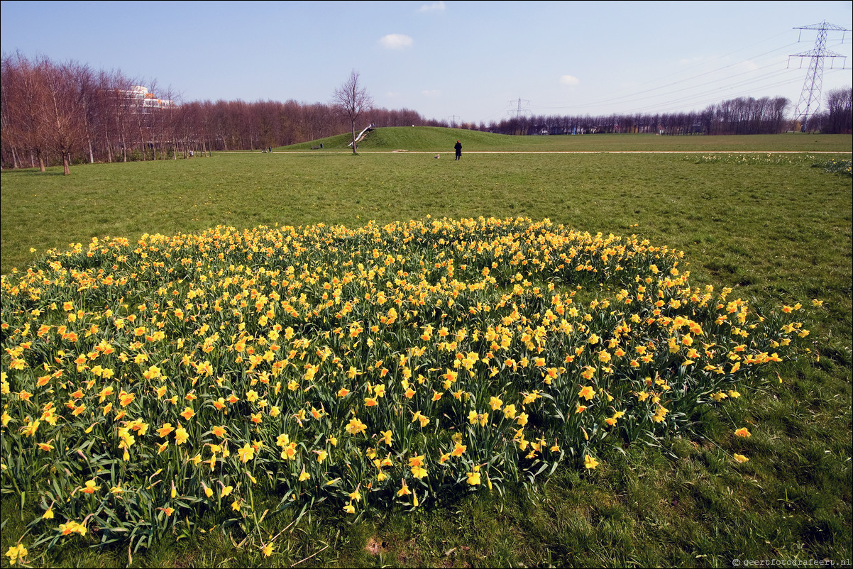 Almere Oost Filmwijk Lumierepark